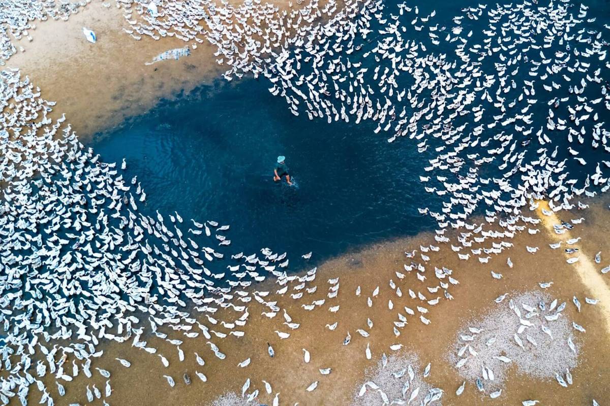 skypixel photos vidéo réalisées par drone