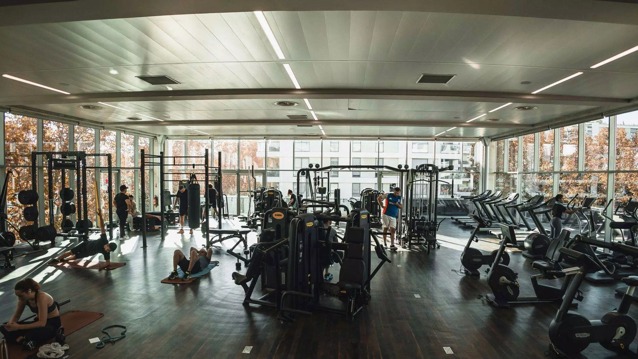 cinecreatis salle sport