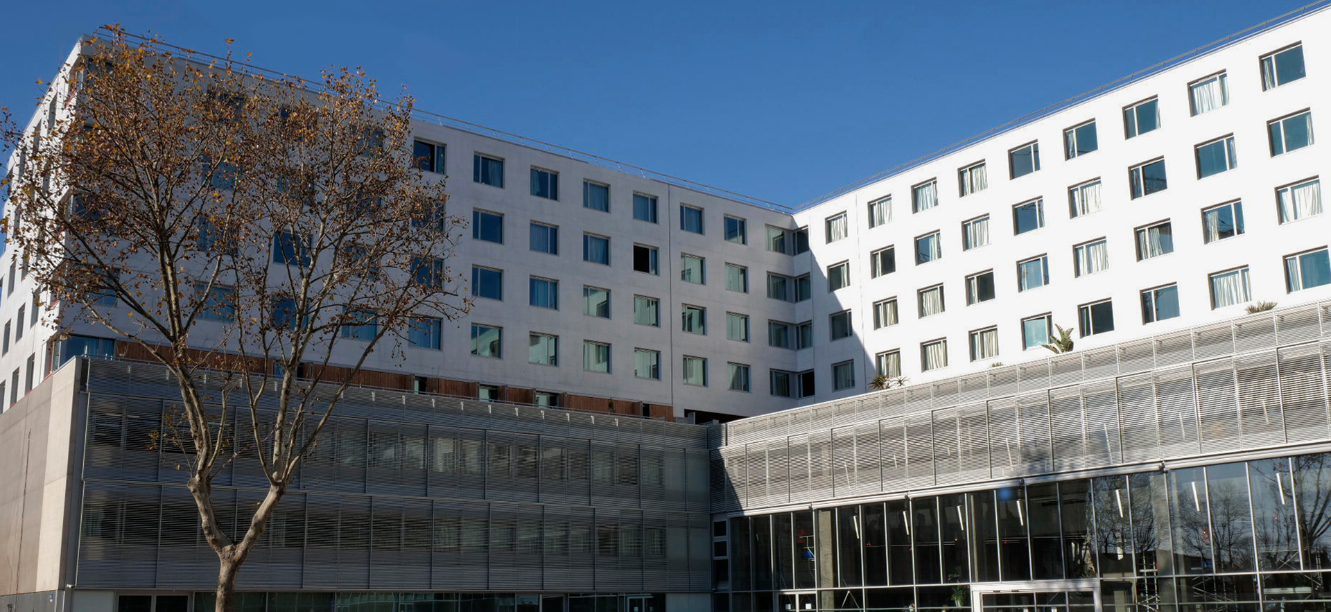 ville artistes montpellie