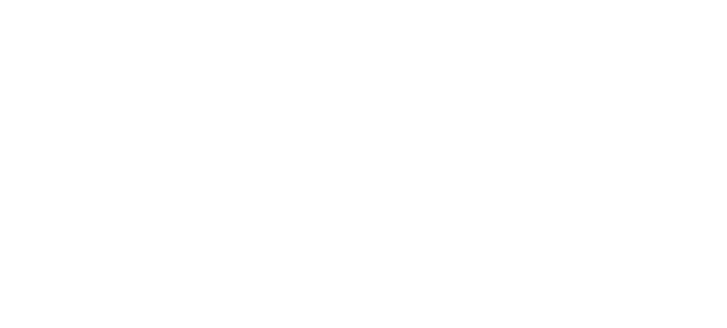 Logo IFFDEC