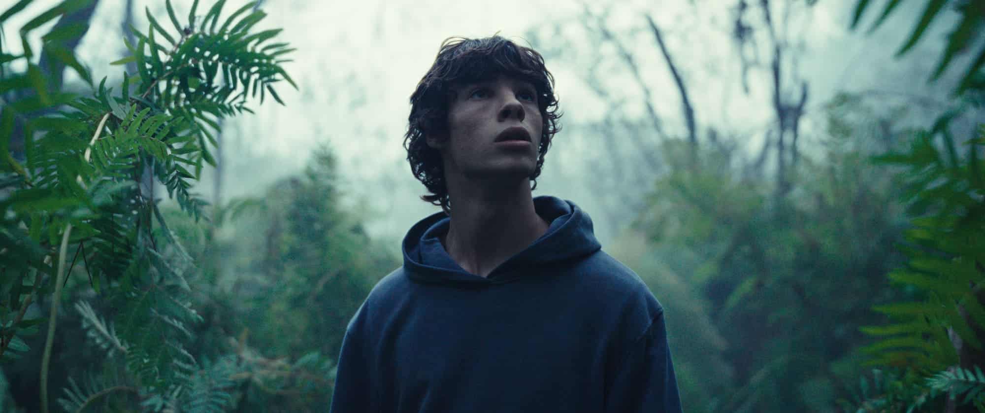 cmedia le regne animal