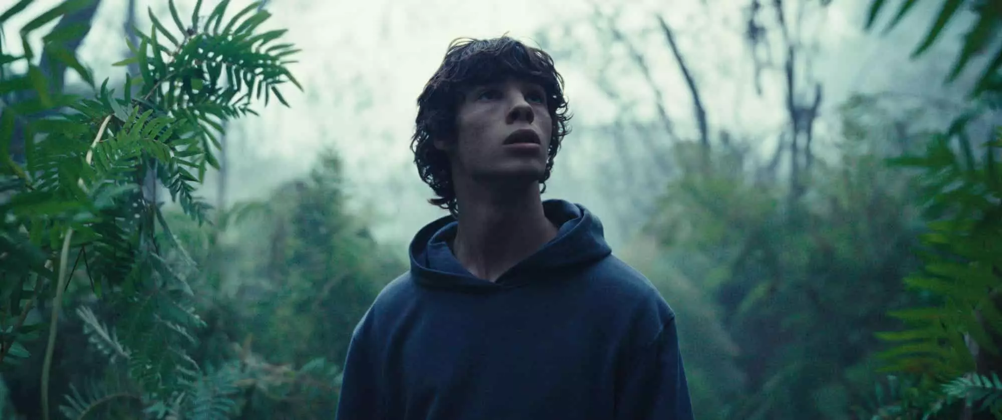 cmedia le regne animal