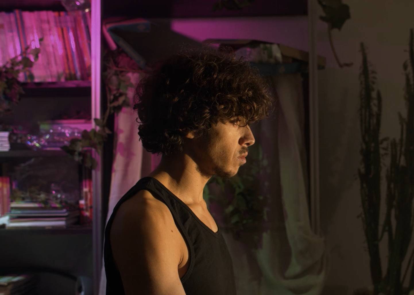 fin du monde film cinecreatis