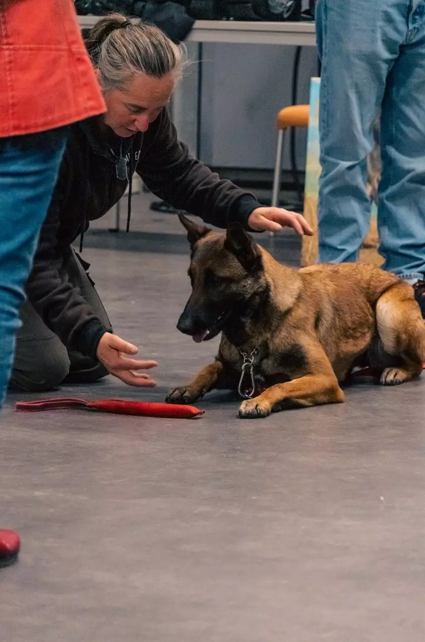 dresseur animal cinema cinecreatis