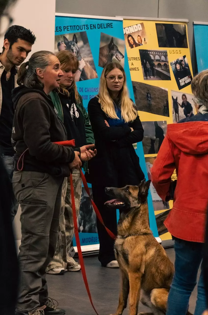 dresseur animal cinema