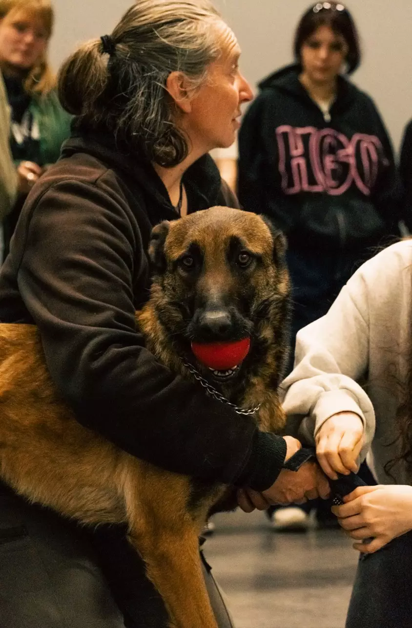 dresseur canin cinema cinecreatis