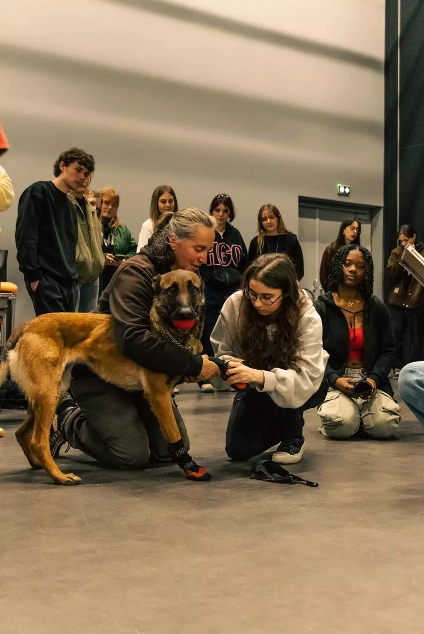 dresseur canin conference cinecreatis