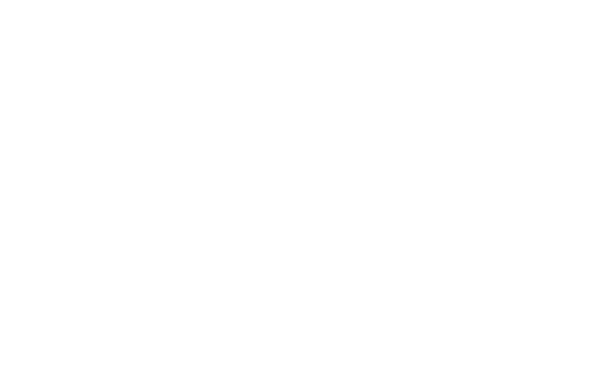 panalux logo 2021 white