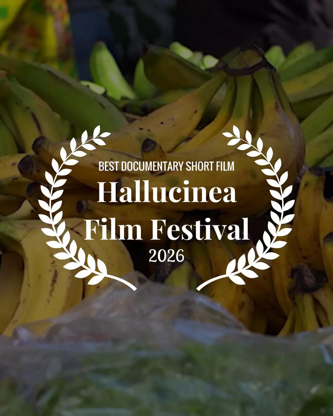 hallucinea film festival