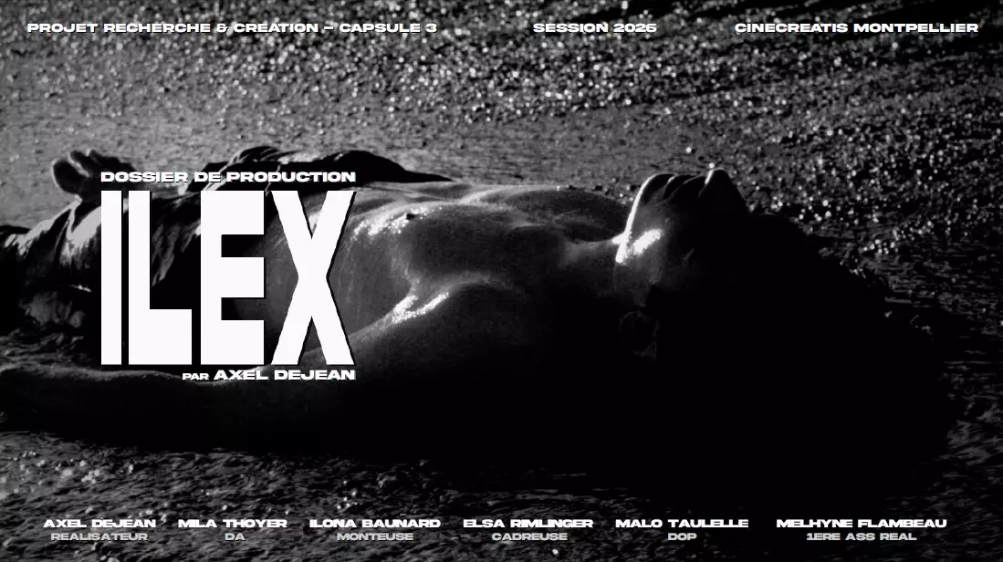 ilex