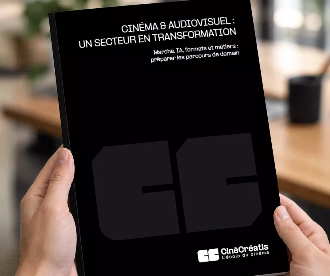 livre blanc cinecreatis